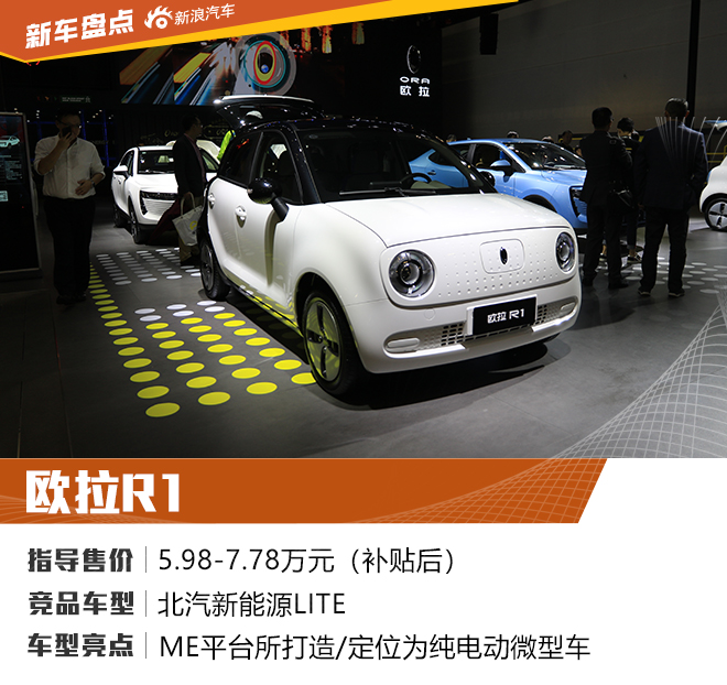 海口新能源车展新车盘点:性价比冠军是哪款
